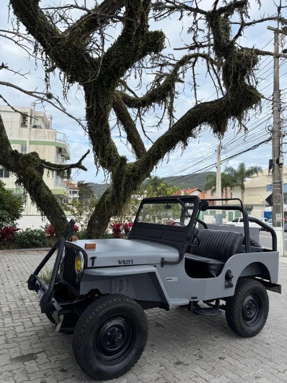 Willys Overland Jeep 2.6 12V Gasolina 2P 1950