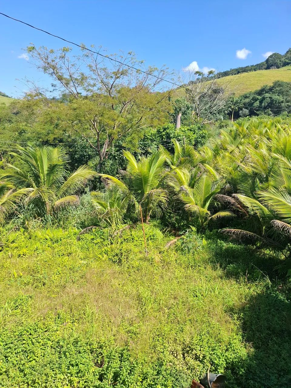 Terreno sítio laranjal  - Foto 5