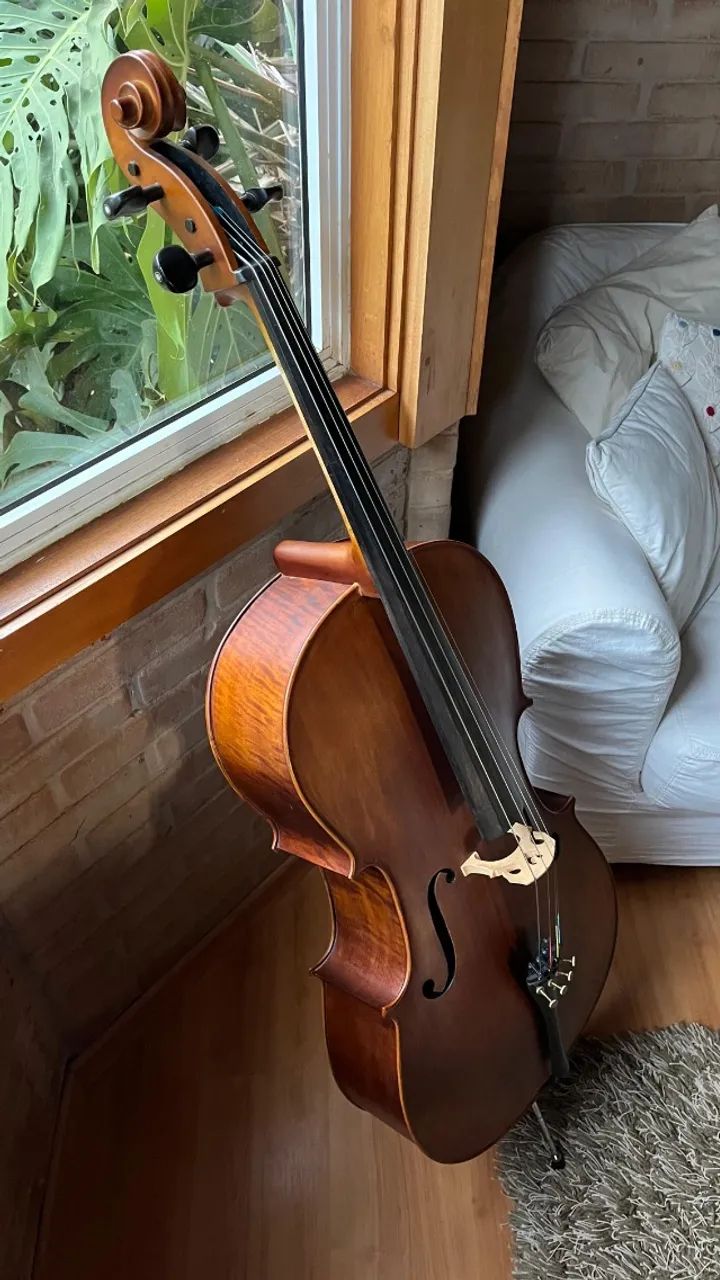 Violoncelo Eagle CE300 4/4 - Foto 2