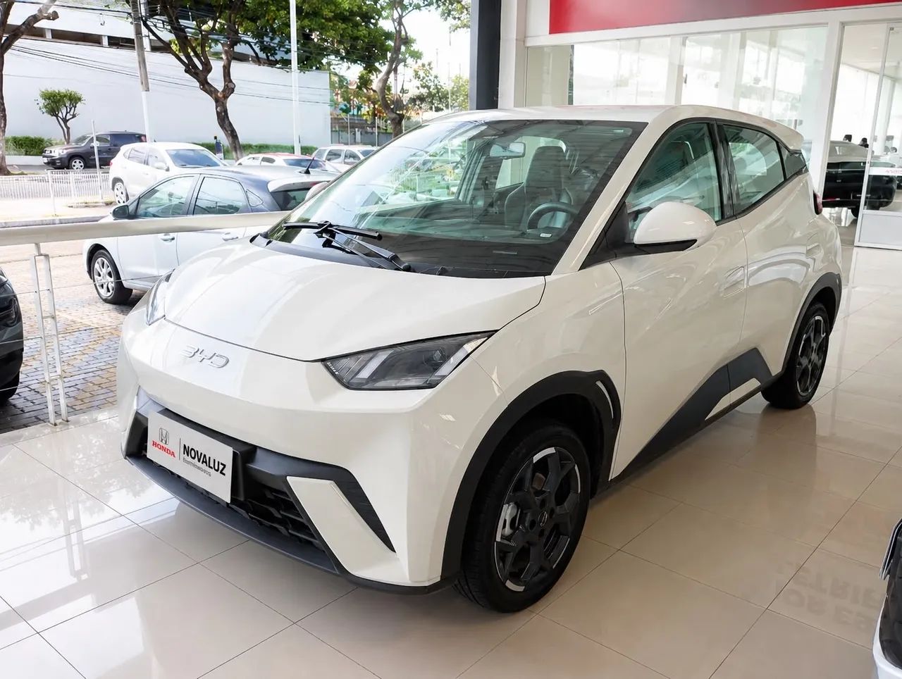 BYD Dolphin 2026