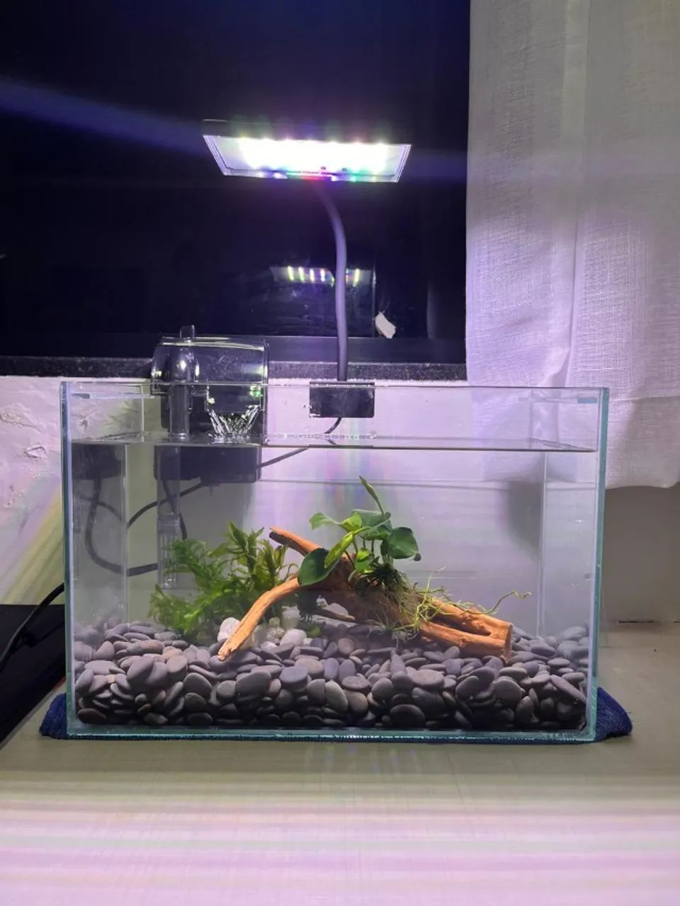 Aquario completo tres litros - Foto 3