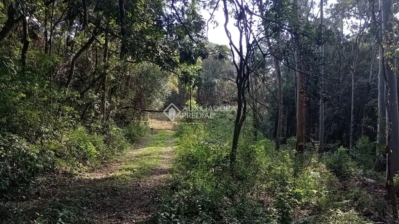 Chácara Monte Bérico - Foto 4