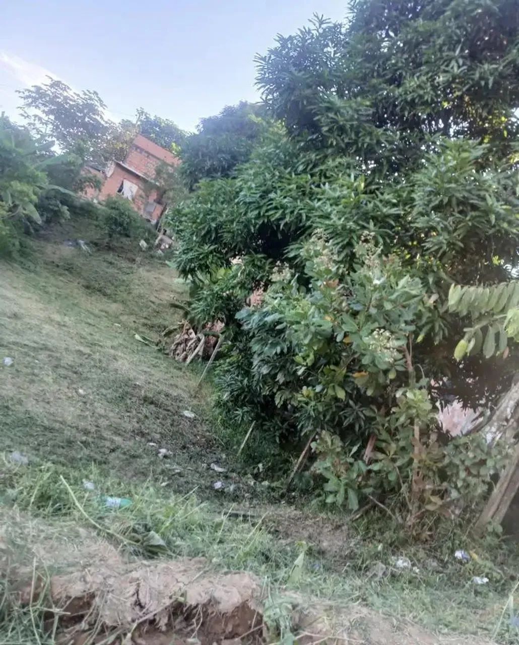 Terreno  - Foto 2