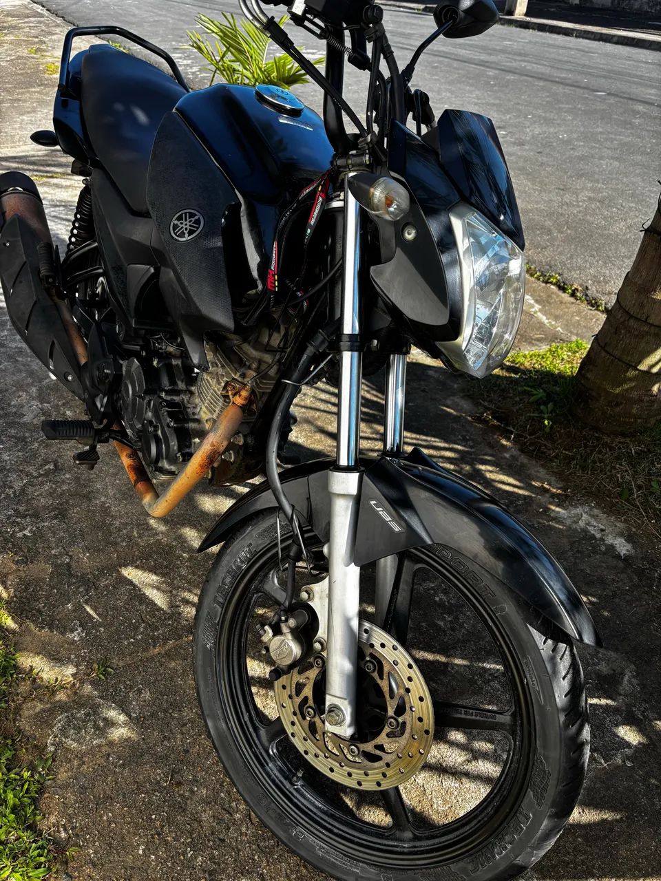 Factor 150 2020 - Foto 5