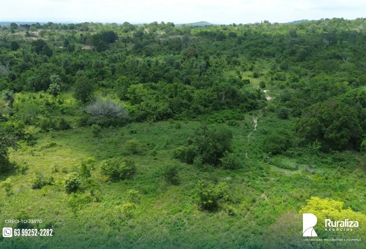 55 HECTARES COM CÓRREGO PERENE | DOCUMENTADA | OPORTUNIDADE - Foto 3