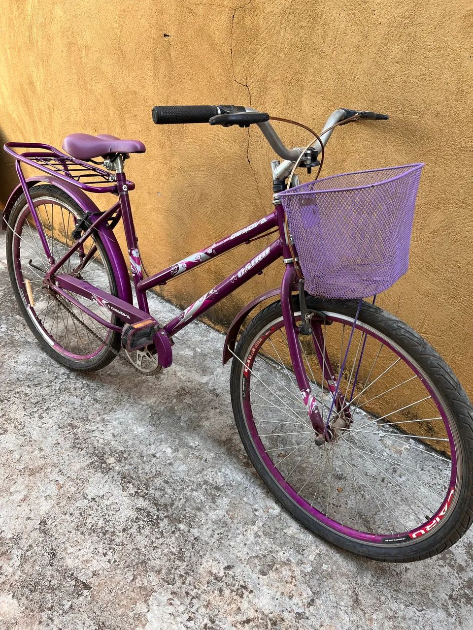 Bicicleta Adulto