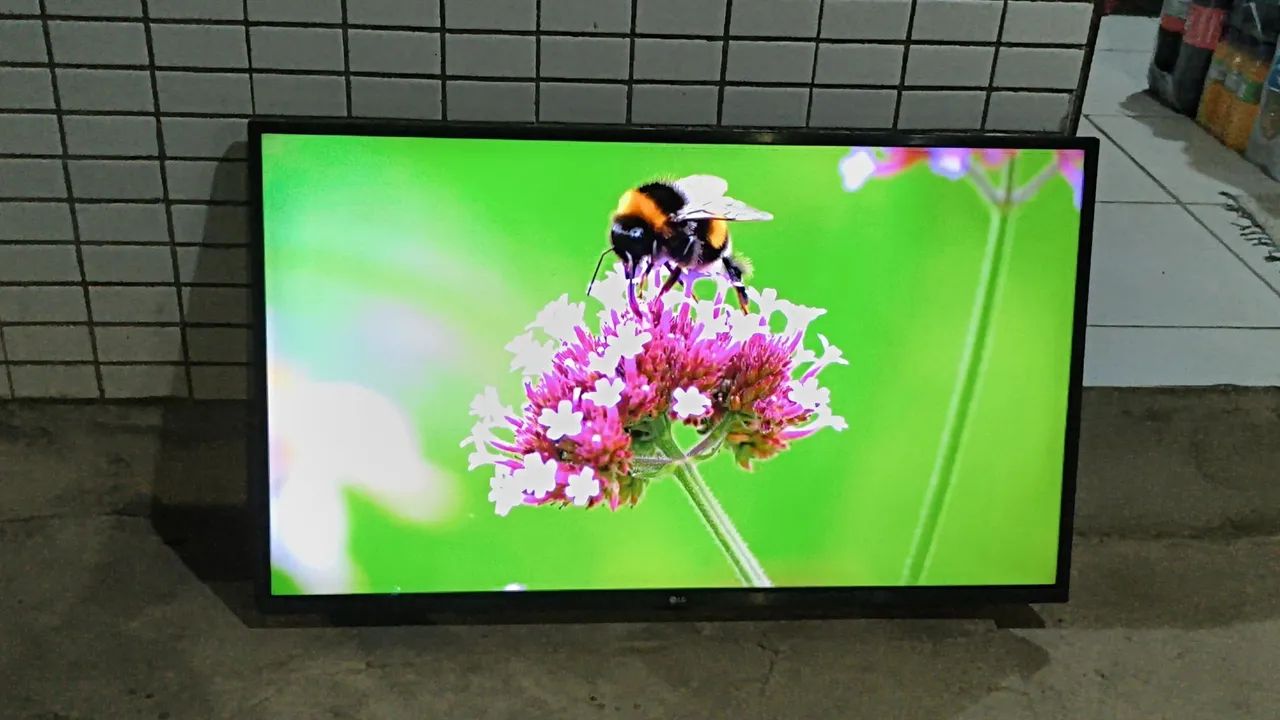 Tv Smart LG 43 Polegadas Imagem HDR Completa  - Foto 4