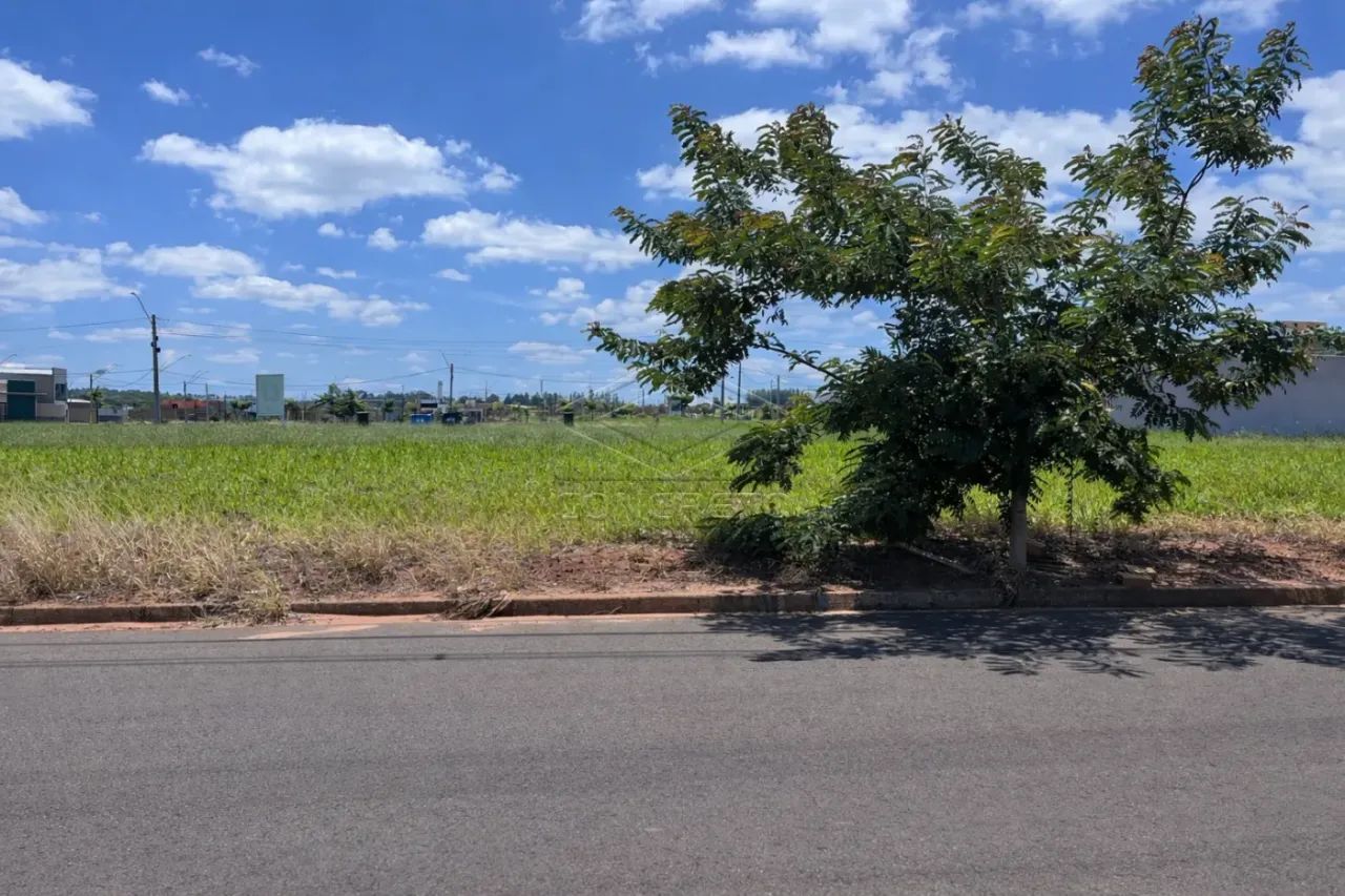 TERRENO RESIDENCIAL OU COMERCIAL
