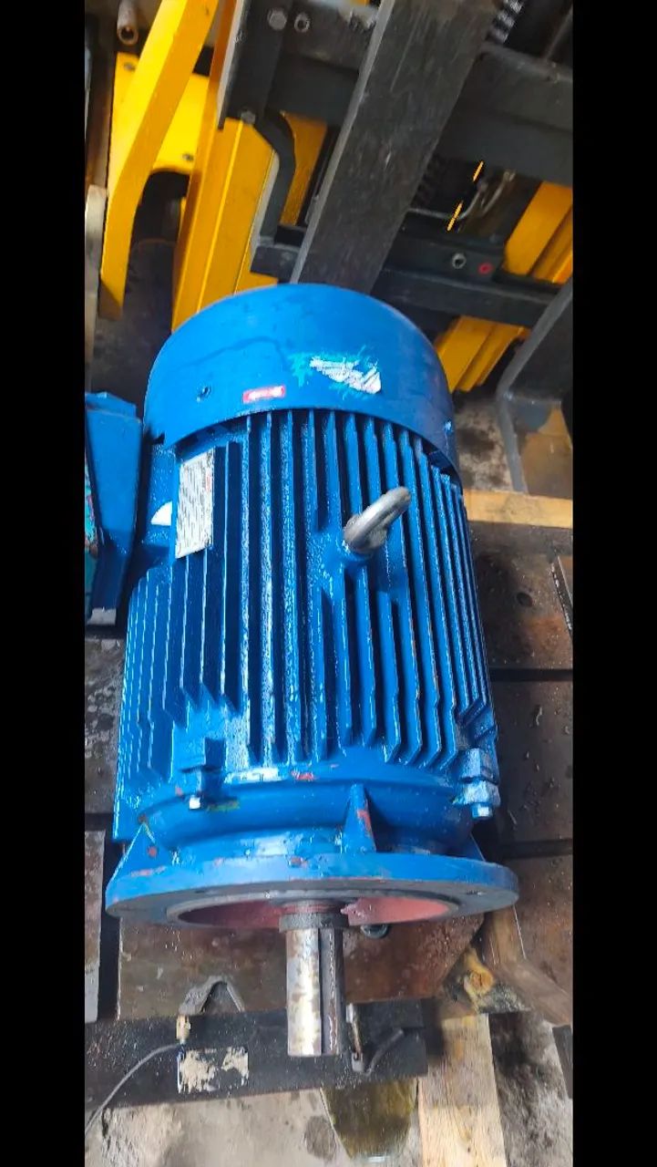 Motor 30 CV 