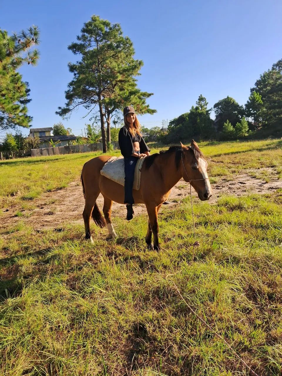 Vendo cavalo criolo 2500 - Foto 3