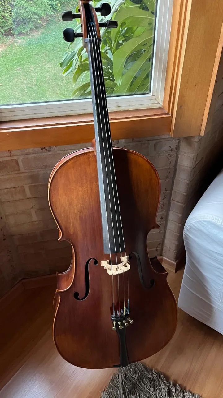 Violoncelo Eagle CE300 4/4