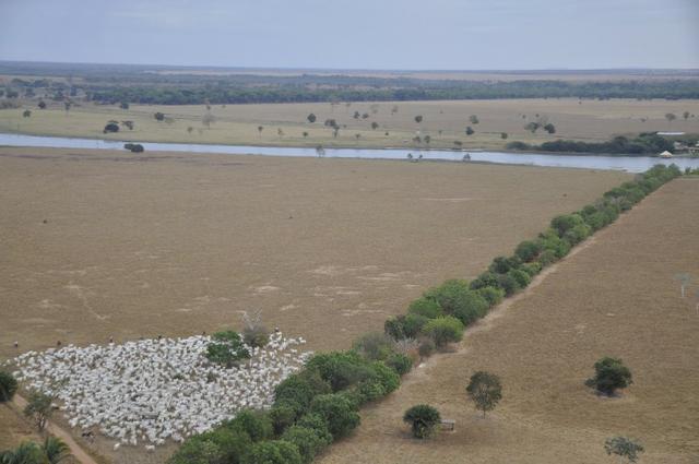 Fazenda 6,000 ha Vale do Araguaia MT. Cinematográfica - Foto 2