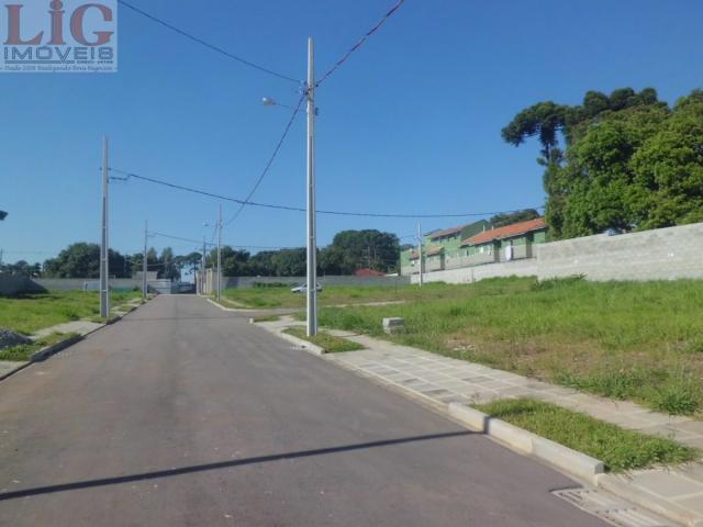Terreno, Pinheirinho, Curitiba-PR - Foto 5