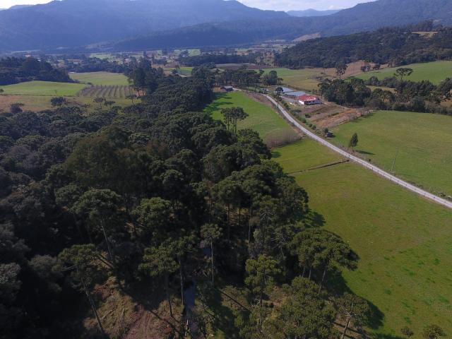 Sítio em Urubici/área rural /casa em Urubici - Foto 6