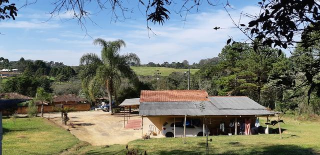 Vendo ou Troco Chácara em Contenda - 3.600 m2 - Foto 9