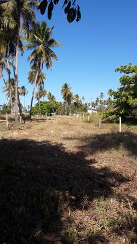 Patacho, venha morar ou ter um negocio em uma das praias mais belas do país. - Foto 14