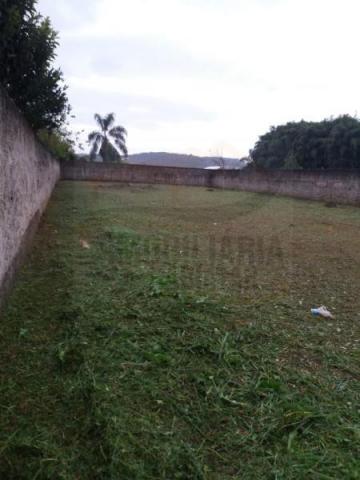 Terreno para venda em campina grande do sul, jardim paulista - Foto 7