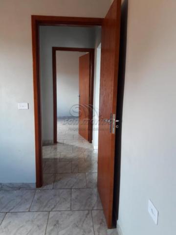 Casa à venda com 2 dormitórios em Planalto verde ii, Jaboticabal cod:V4275 - Foto 3