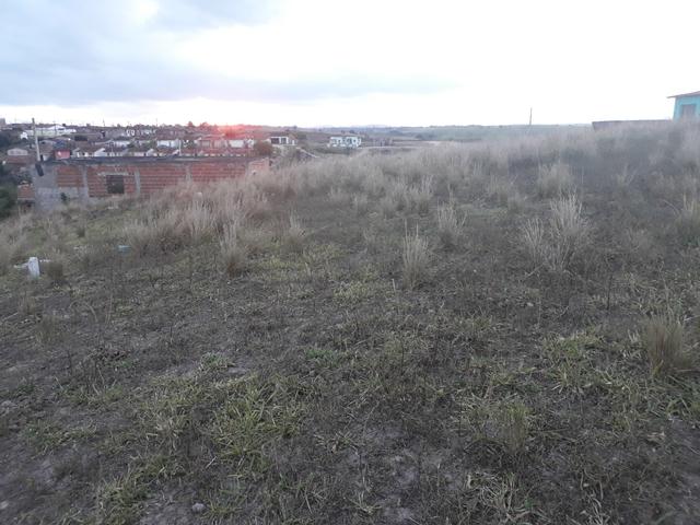Vendo ou troco esse terreno no loteamento Canaã em lagoa do carro - Foto 4