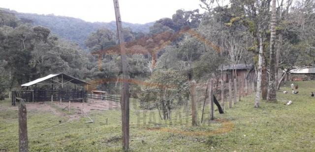 Chácara para venda, barra da cruz - Foto 7