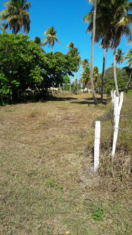 Patacho, venha morar ou ter um negocio em uma das praias mais belas do país. - Foto 16