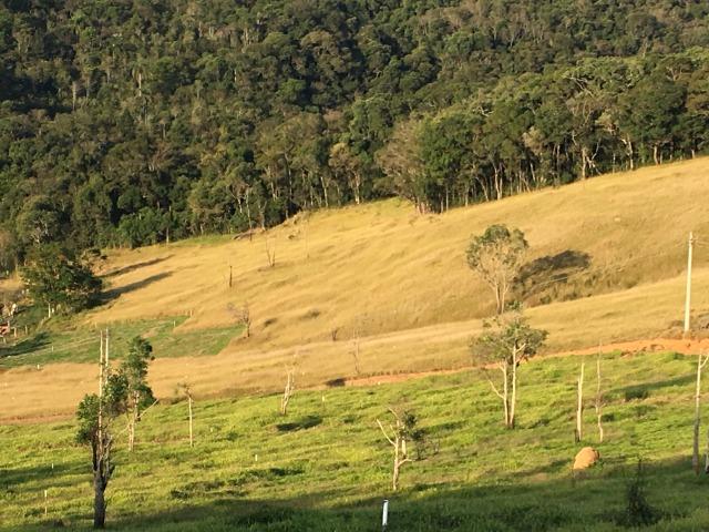 GE compre seu terreno plano para começo do ano por apenas: R$1.000 de entrada 500m2. - Foto 5