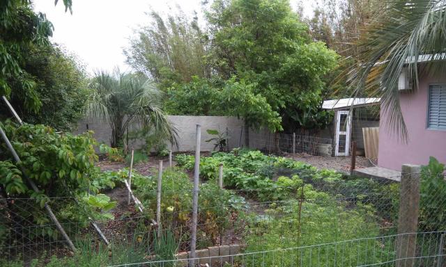 Casa em São Lourenço do Sul Terreno com 3 casas - Foto 5