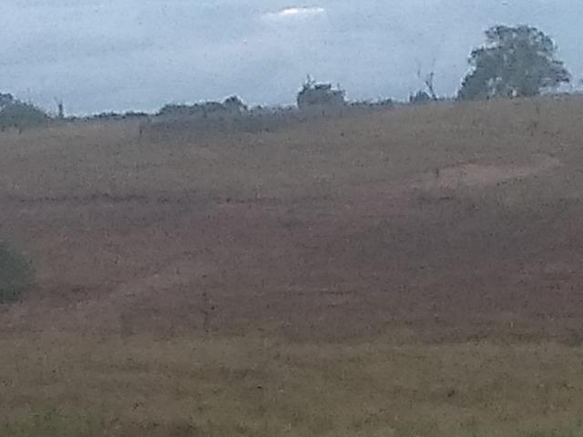 Fazenda - Foto 3