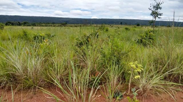 Vendo Fazenda com 1.523 Hectares na região do Manso