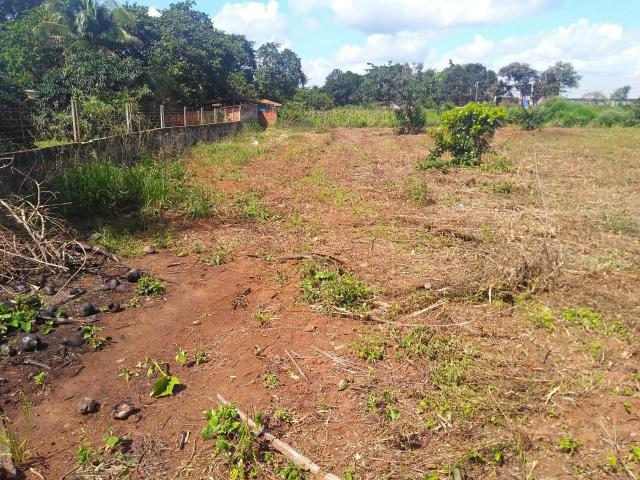 Terreno em Conceição do Jacuípe .Telefone * ou * - Foto 6