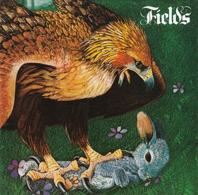Fields - Fields