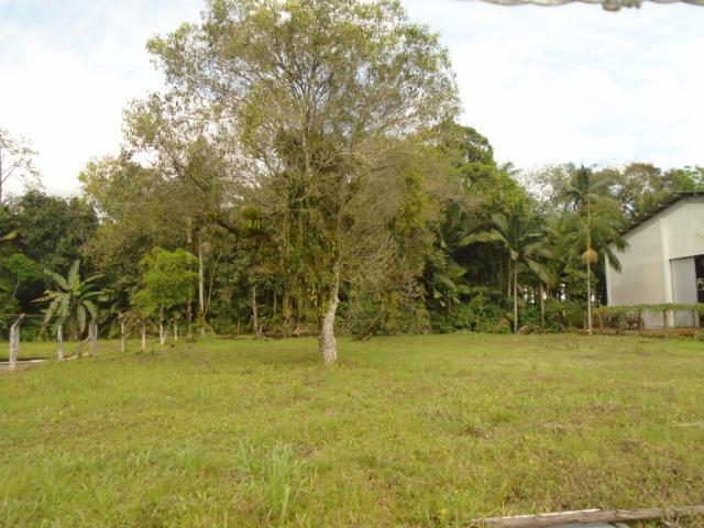 Terreno para alugar em Pirabeiraba, Joinville cod:00444.008 - Foto 3