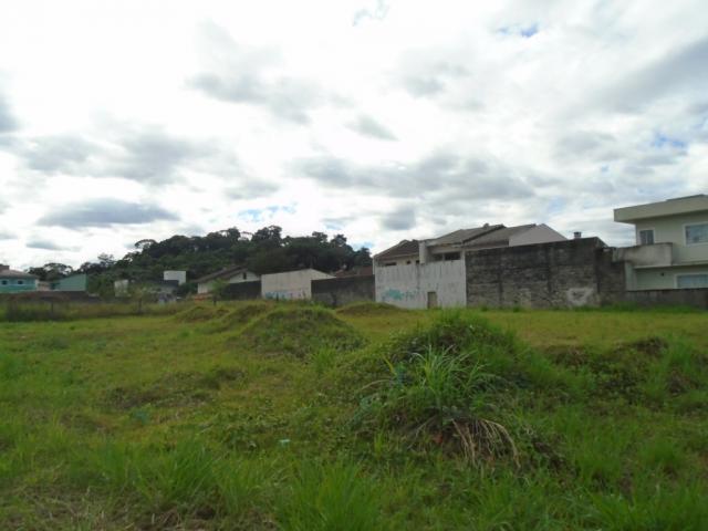 Terreno para alugar em Santa catarina, Joinville cod:08122.001 - Foto 13