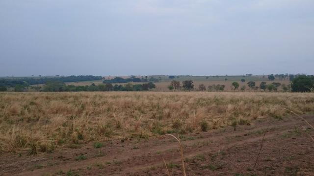 Fazenda para lavoura de 44 alqueires a venda na região de Caldas Novas GO - Foto 12