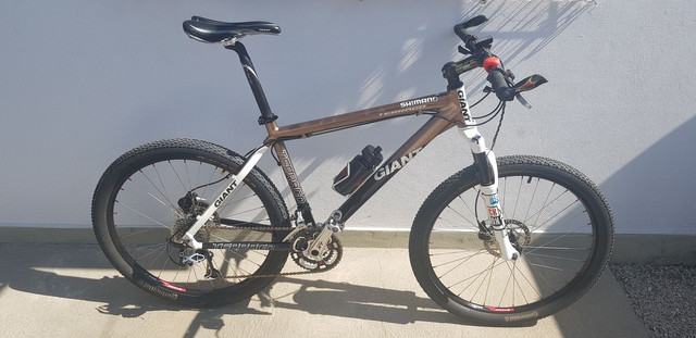 giant terrago disc