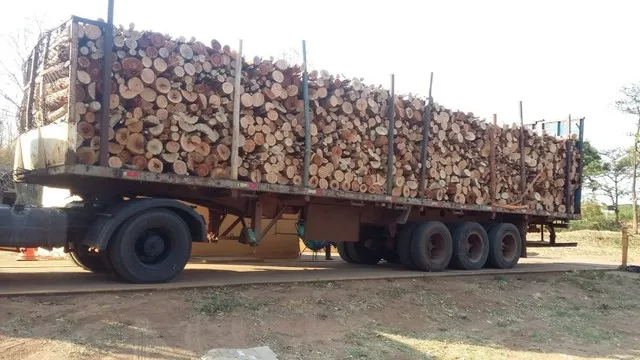 Vendo Lenha de Eucalipto