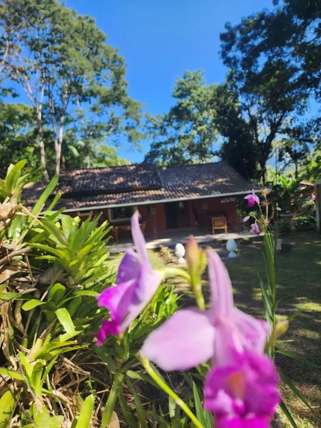 Sítio Donana Sana aluguel por temporada  - Foto 5