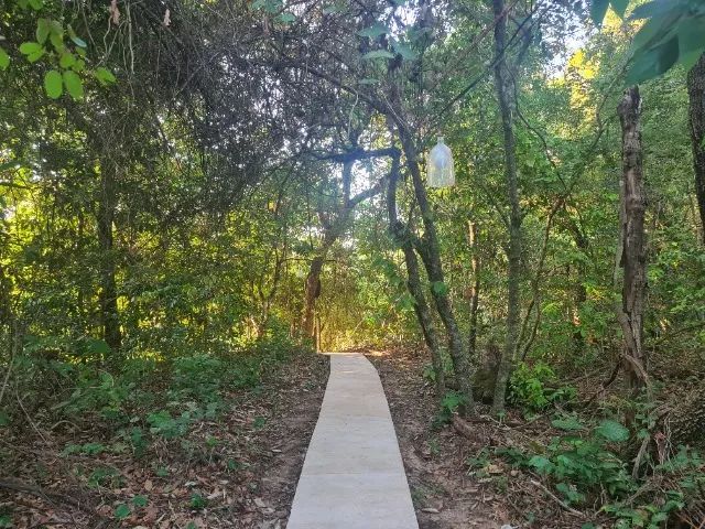 Rancho em Palmeiras Beira Rio - Pesqueiro - Chacara - Foto 12