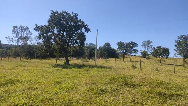 CHÁCARA A VENDA  2.000 MTS ANÁPOLIS GO !DIRETO COM PROPRIETÁRIO! - Foto 3