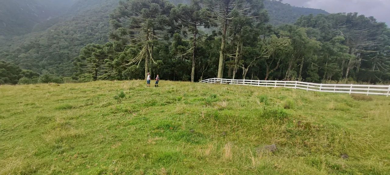 Sítio com cachoeira paradisíaca! - Foto 6