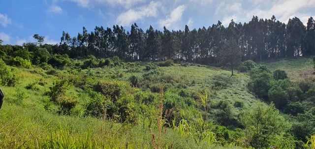 Excelente terreno em Piedade - Foto 10
