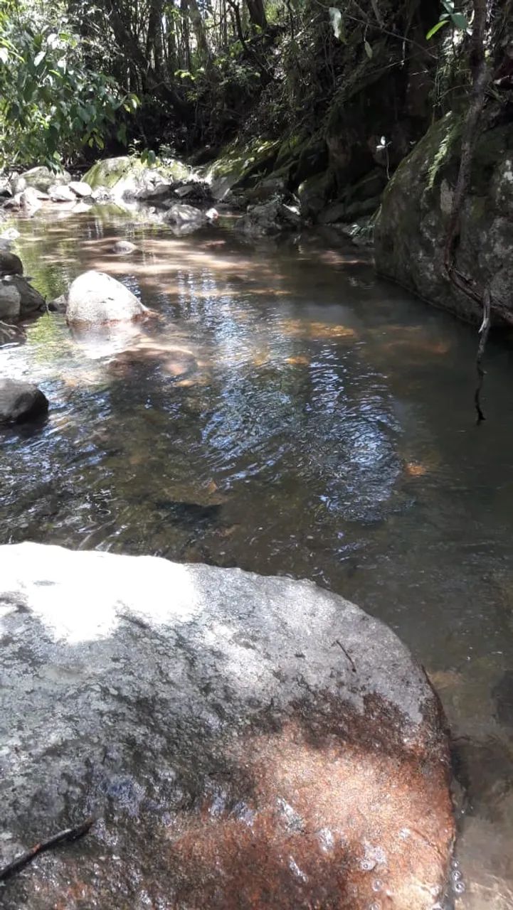 FAZENDA 43,5 ALQ  - Foto 6