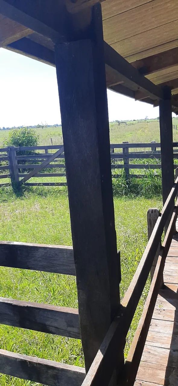 Fazenda em Juara - 100 hectares - Excelente Forma - Foto 2