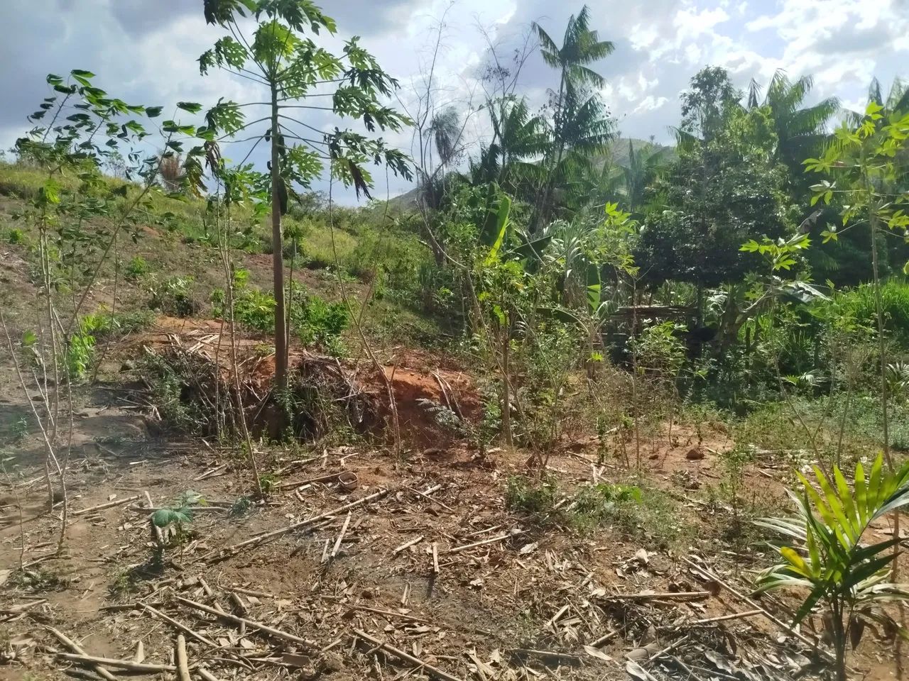 Chácara com Poço e energia  - Foto 3