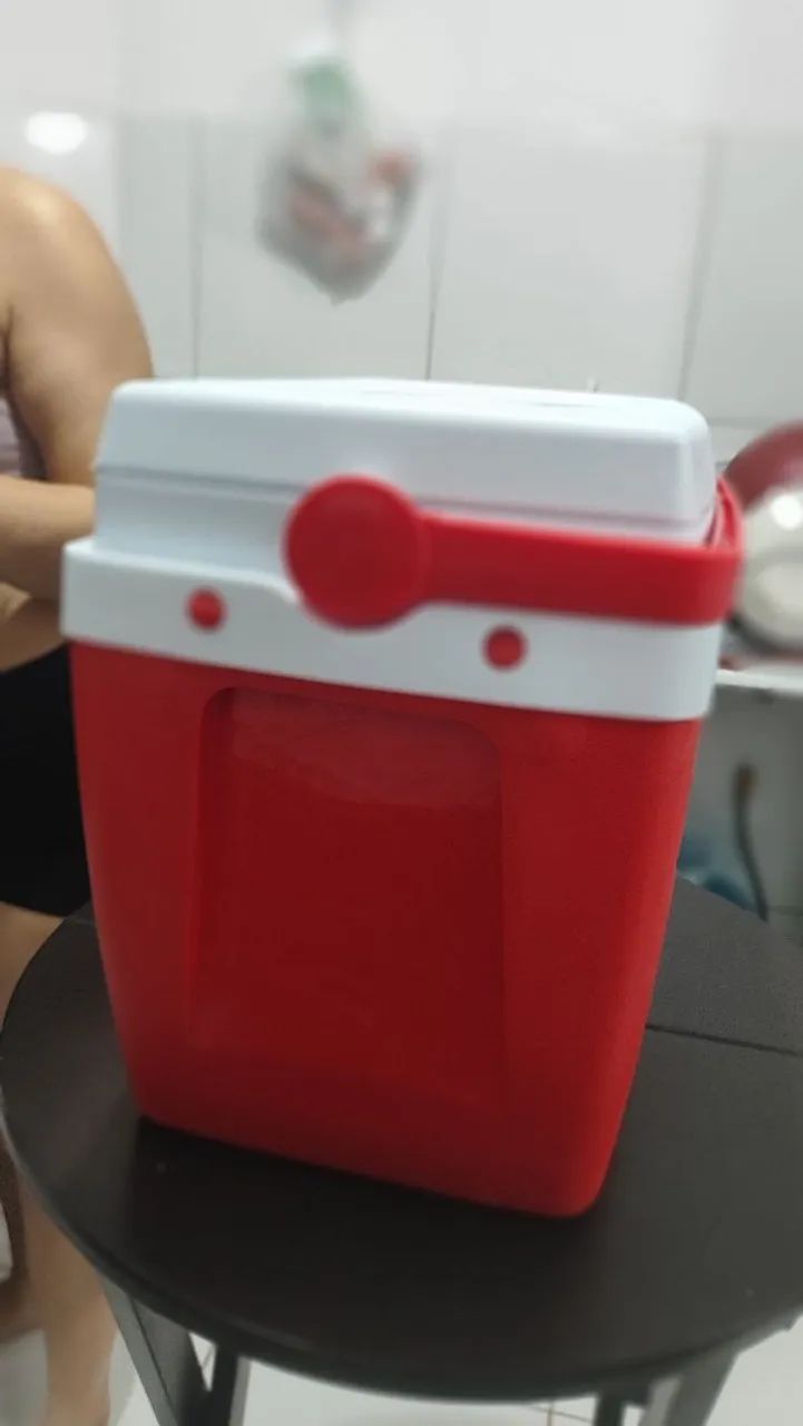 Caixa térmica Coca Cola 26L + Brinde (Leia a descrição) - Foto 3