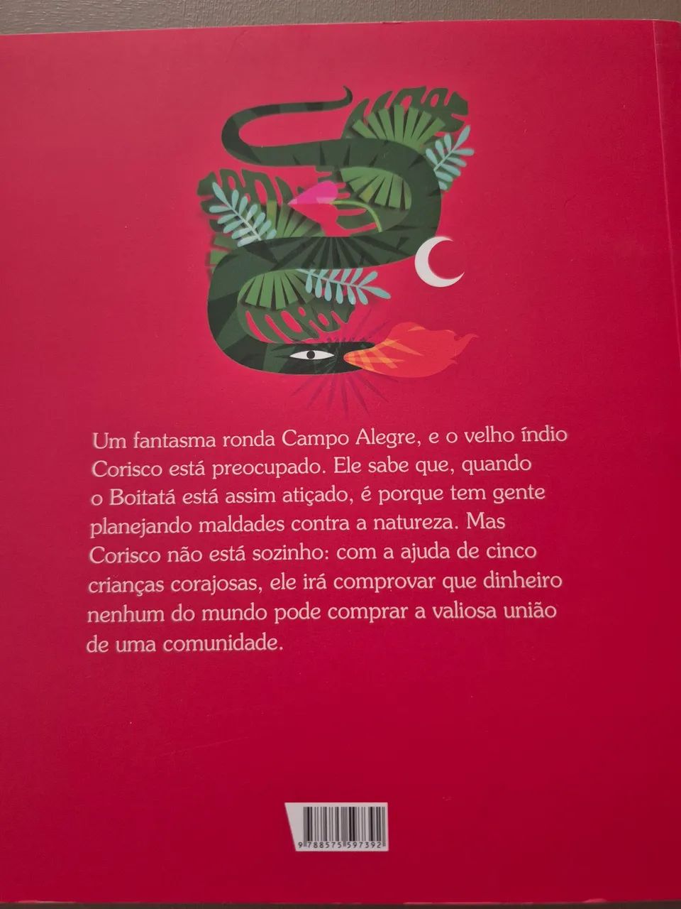 Livro O Boitatá e os boitatinhas - Foto 2