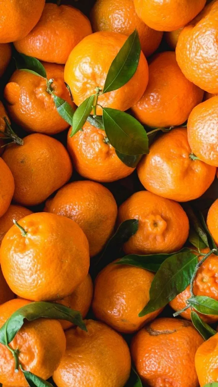 Ponkan , laranja, vagem, limão