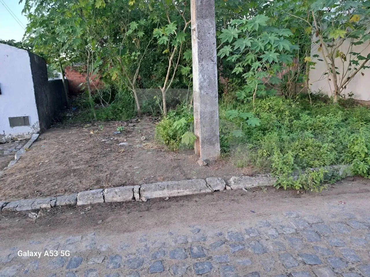 Terreno para Venda - Foto 3