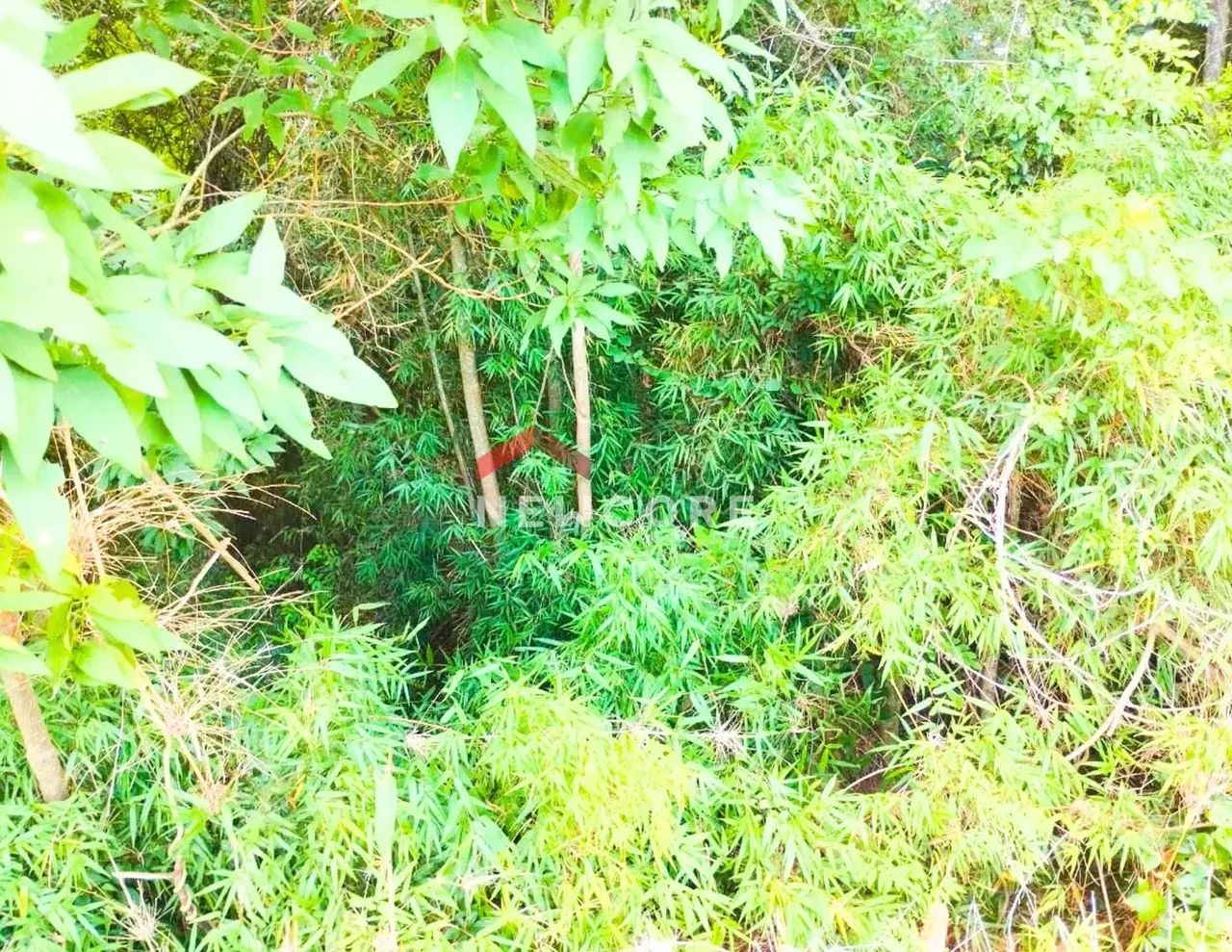Lote em Rua Acre - Campina das Pedras - area rural - Araucária/PR
