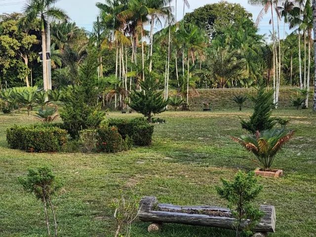 Sítio 1000 x 3.000 estrada Balbina  1.016.000